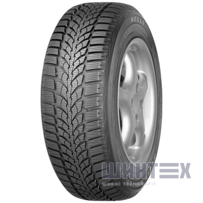 Diplomat Winter HP 195/65 R15 91H№1